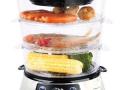 NaturoPure Digital Food Steamer HF8333